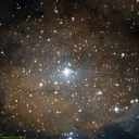IC1284 