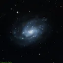 NGC0300