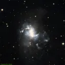 NGC1313