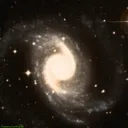 NGC1566