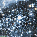 NGC1761