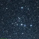NGC1901