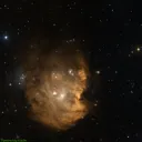 Monkey Head Nebula (NGC2174)
