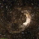 NGC3199