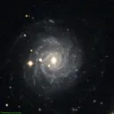 NGC3344
