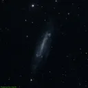 NGC4236