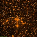 NGC4463