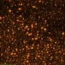NGC6400 