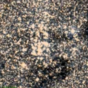 NGC6520 