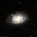 NGC7793